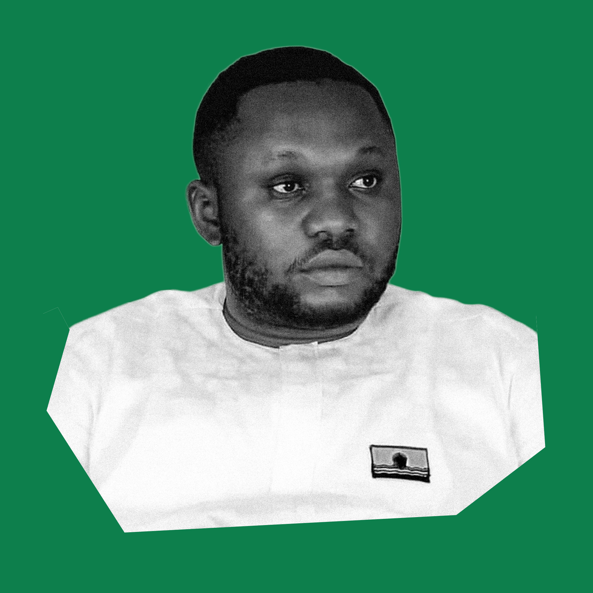 Hon. Promise Nwadigos